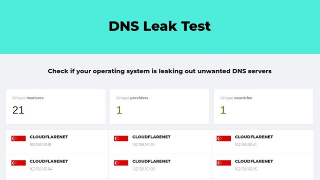 DNS Leak Test